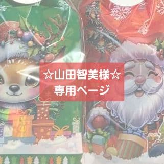 お菓子5個入り 4袋セット 個数の増減相談可能 クリスマスプ チギフト