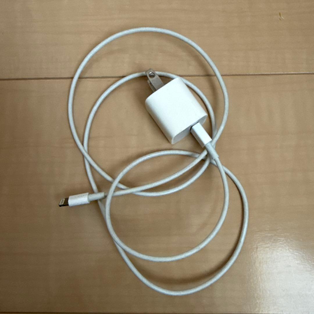 【正常動作確認済み】 AirPods Pro2両耳 充電ケース、充電ケーブル付き