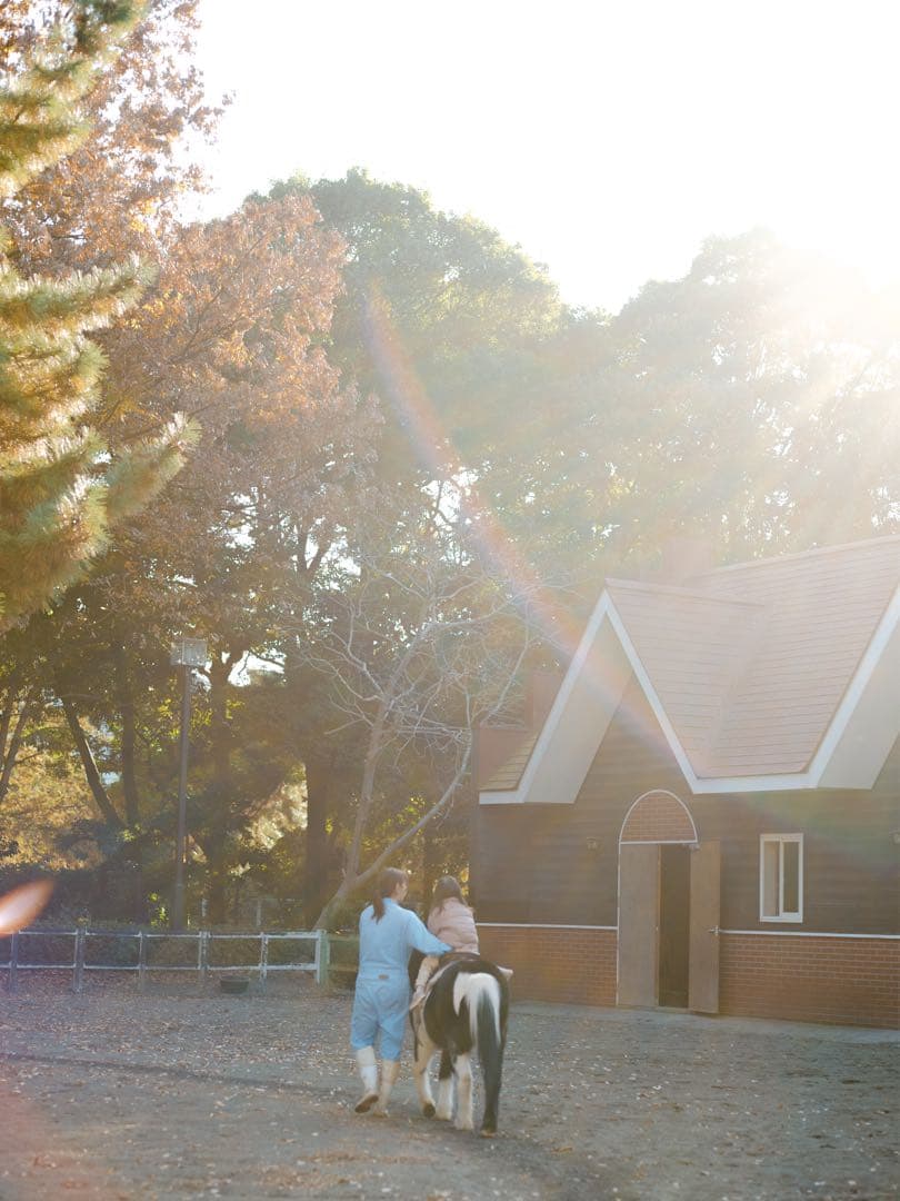 Mamiya Sekor C 80mm f/1.9 gfxアダプタ付