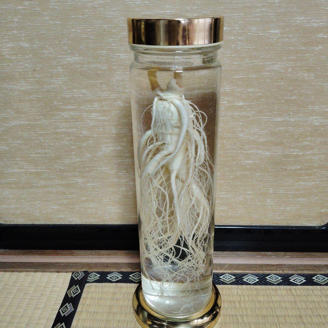 【値段相談可】高麗人参酒 希少古酒