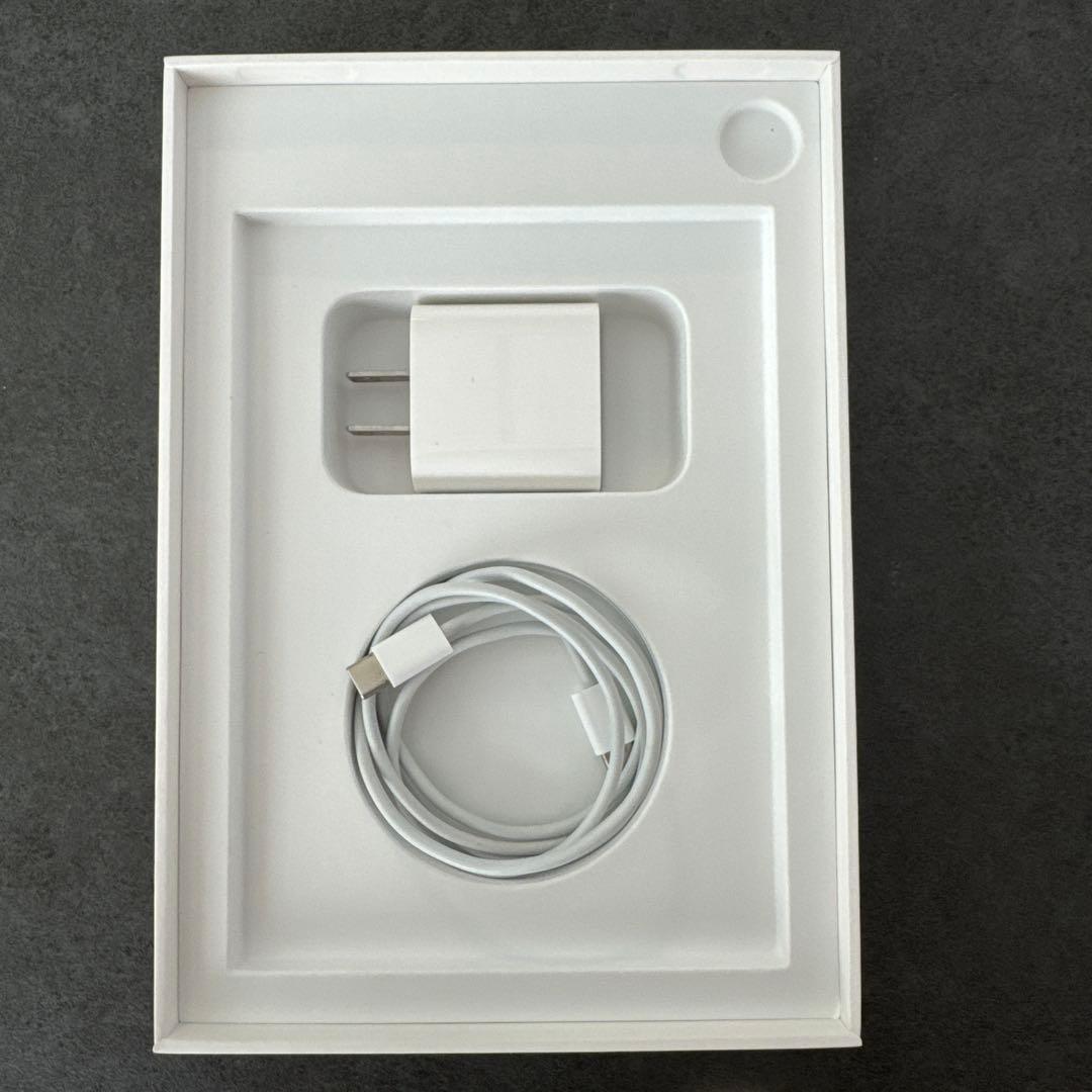 【ペンシル、ケース付】iPad mini