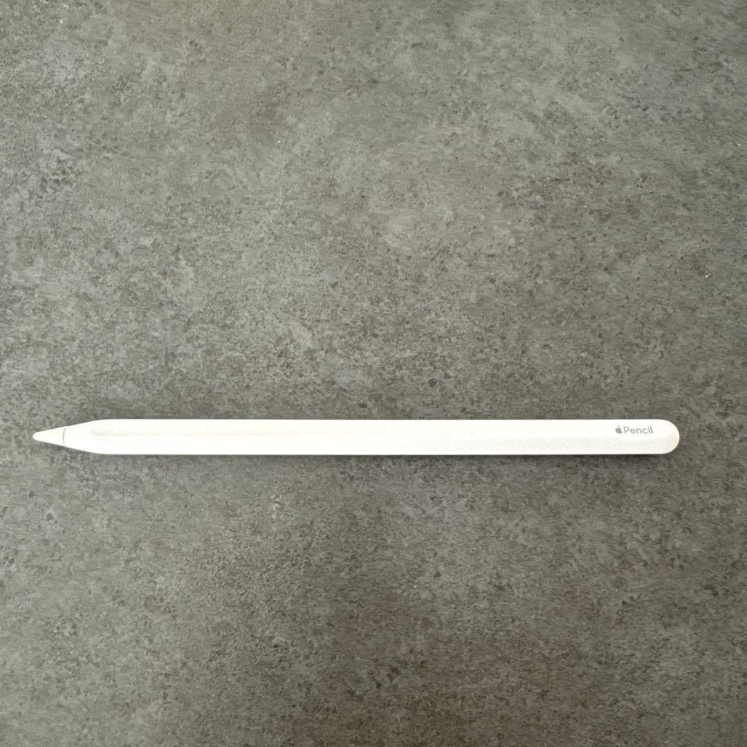 【ペンシル、ケース付】iPad mini