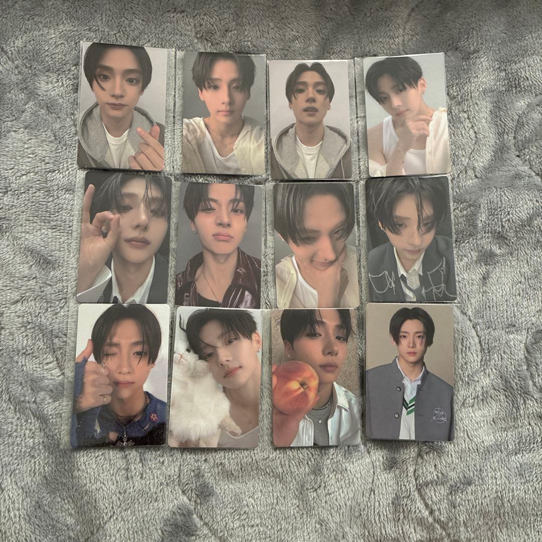 サンウォン トレカ