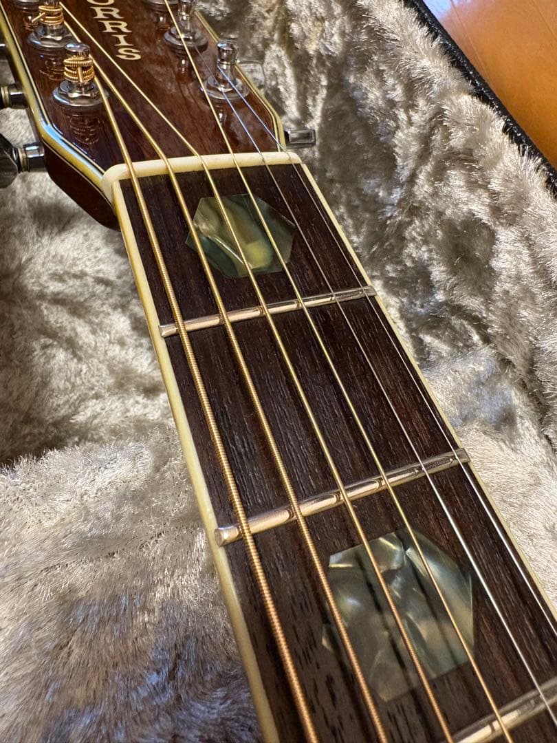 Morris W-50 単板トップ アコースティックギター 専用ハードケース付