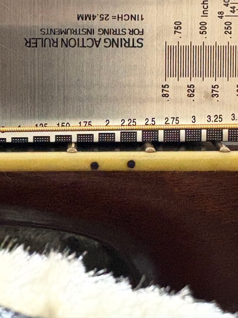 Morris W-50 単板トップ アコースティックギター 専用ハードケース付