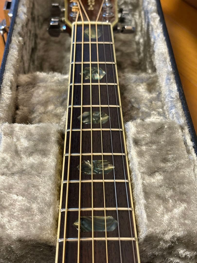 Morris W-50 単板トップ アコースティックギター 専用ハードケース付