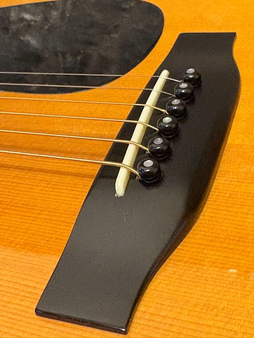 Morris W-50 単板トップ アコースティックギター 専用ハードケース付