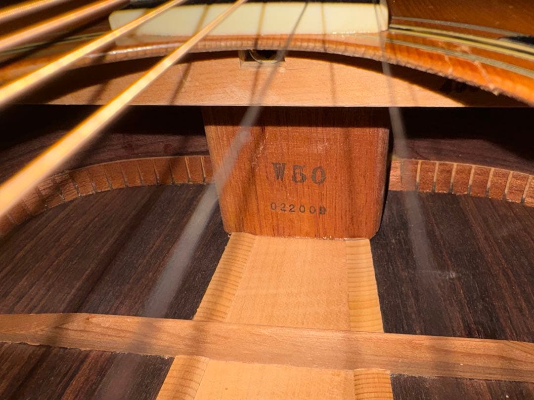 Morris W-50 単板トップ アコースティックギター 専用ハードケース付