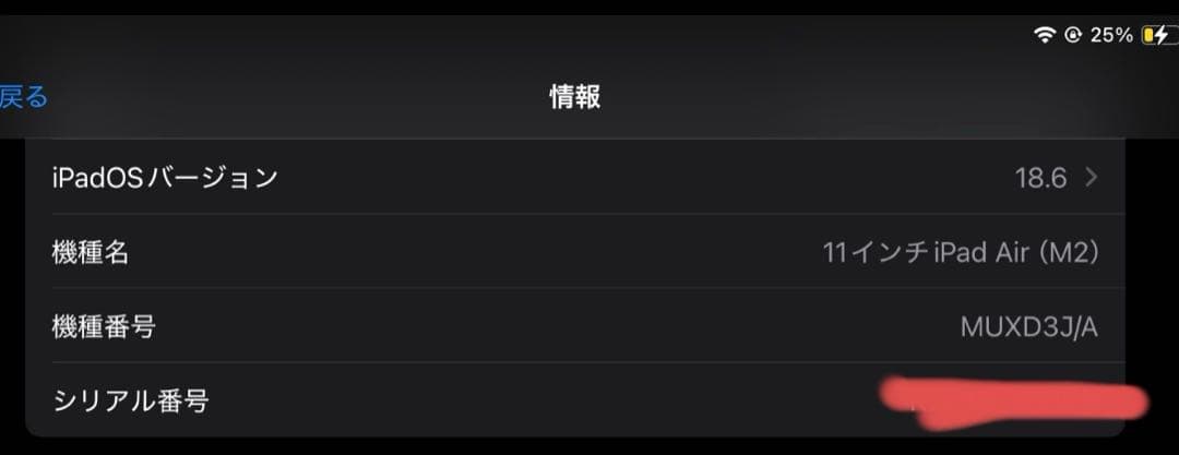 iPad本体 Apple iPad Air 11 M2 WiFi+Cellular 128GB