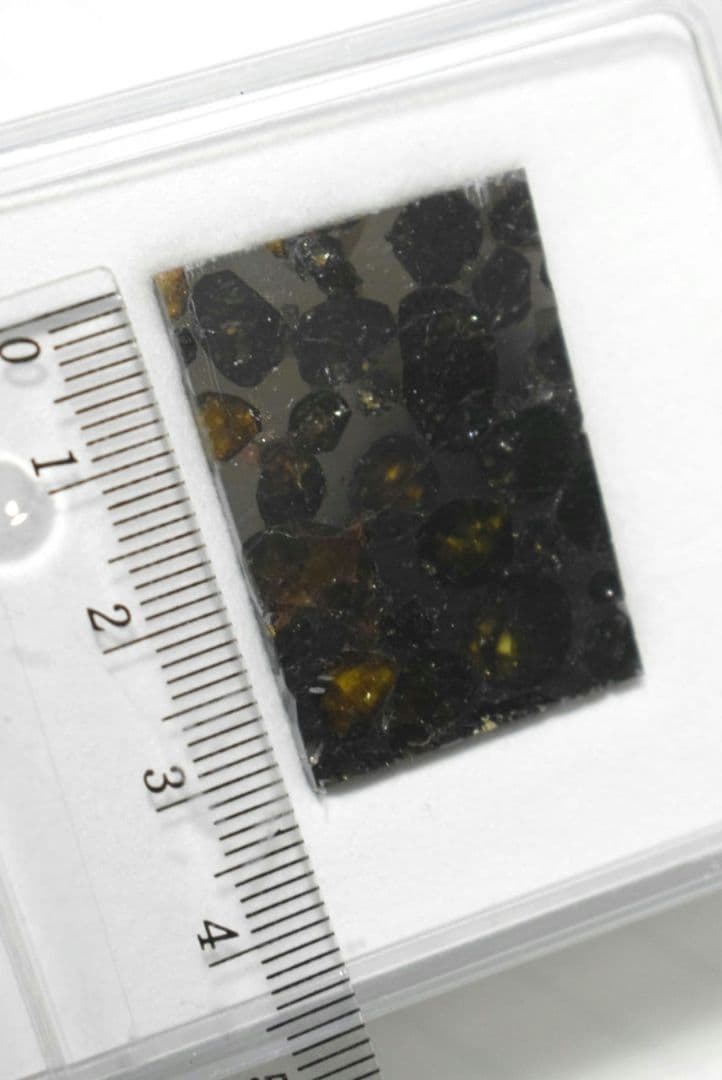 セリコ隕石（隕鉄、パラサイト隕石）