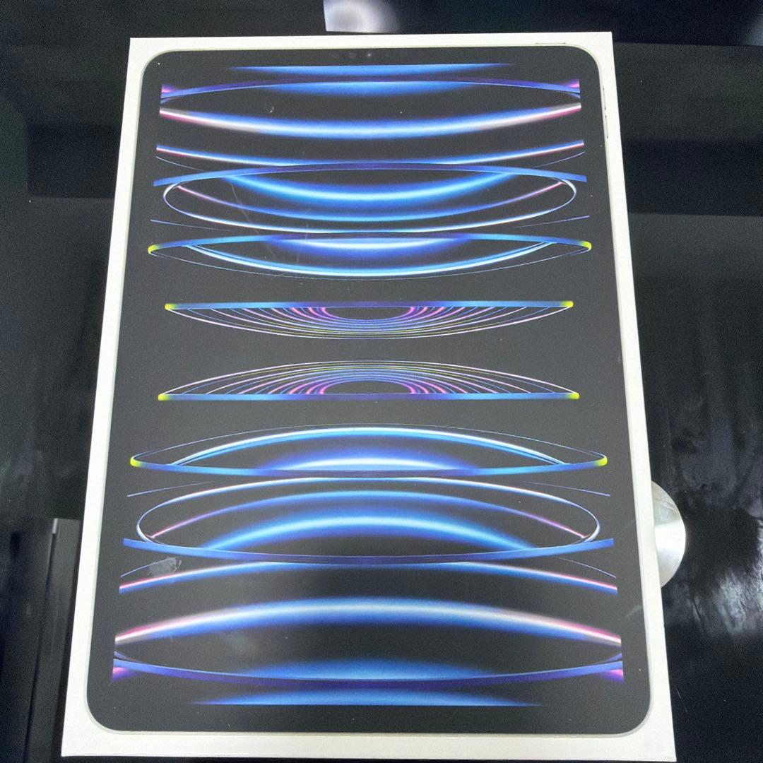 iPad Pro 第4世代 スペースグレー 本体