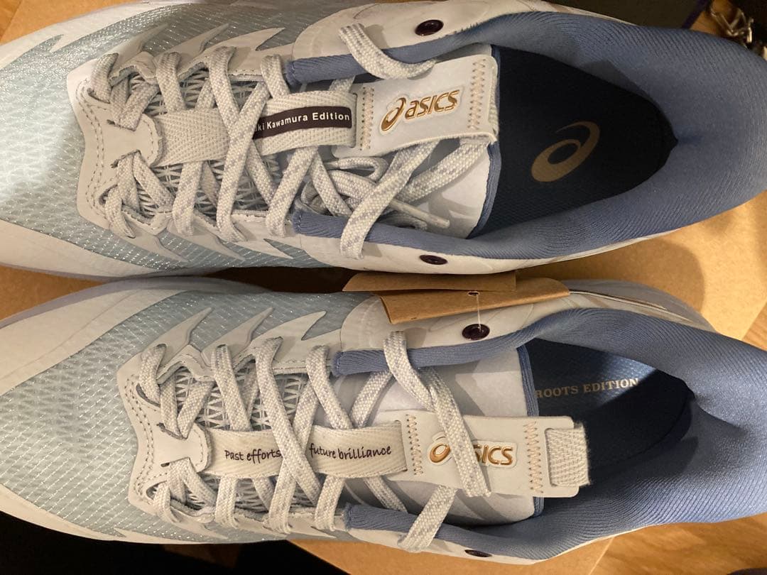 シューズ(男性用) ANPRE URS LOW 2 RT