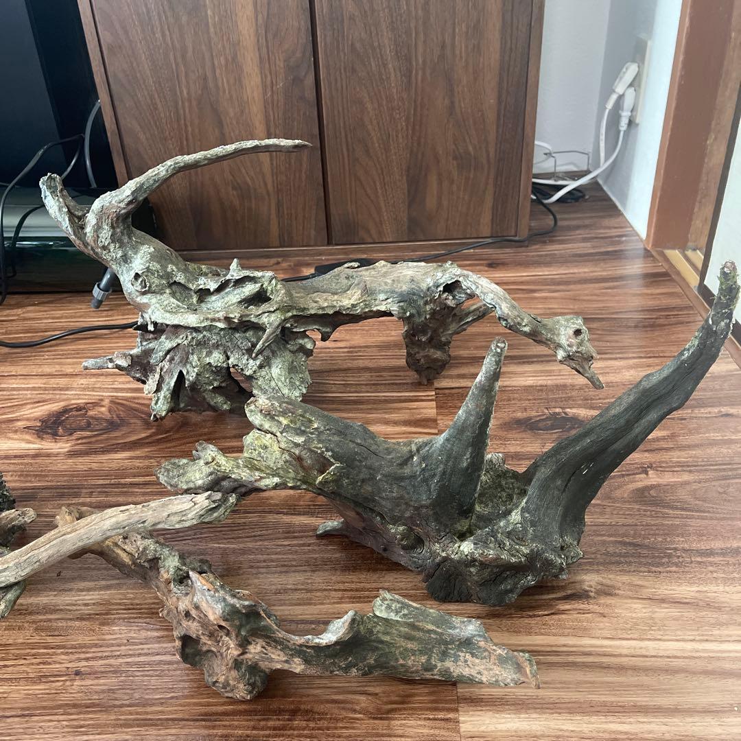 【引取限定】10万以上ADA水槽、水槽台、ゼンスイviiita