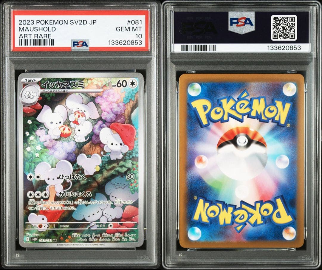 【PSA10】イッカネズミ　081/071 AR