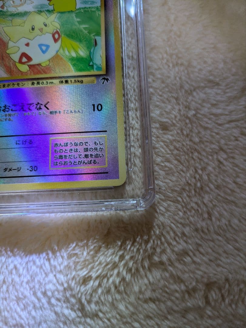 トゲピー　旧裏　サザンアイランド　CGC10 GEMMINT 白ラベル