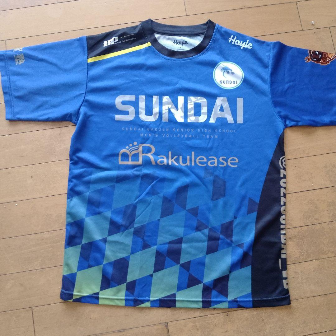Hayle Mサイズ バレーボールシャツ