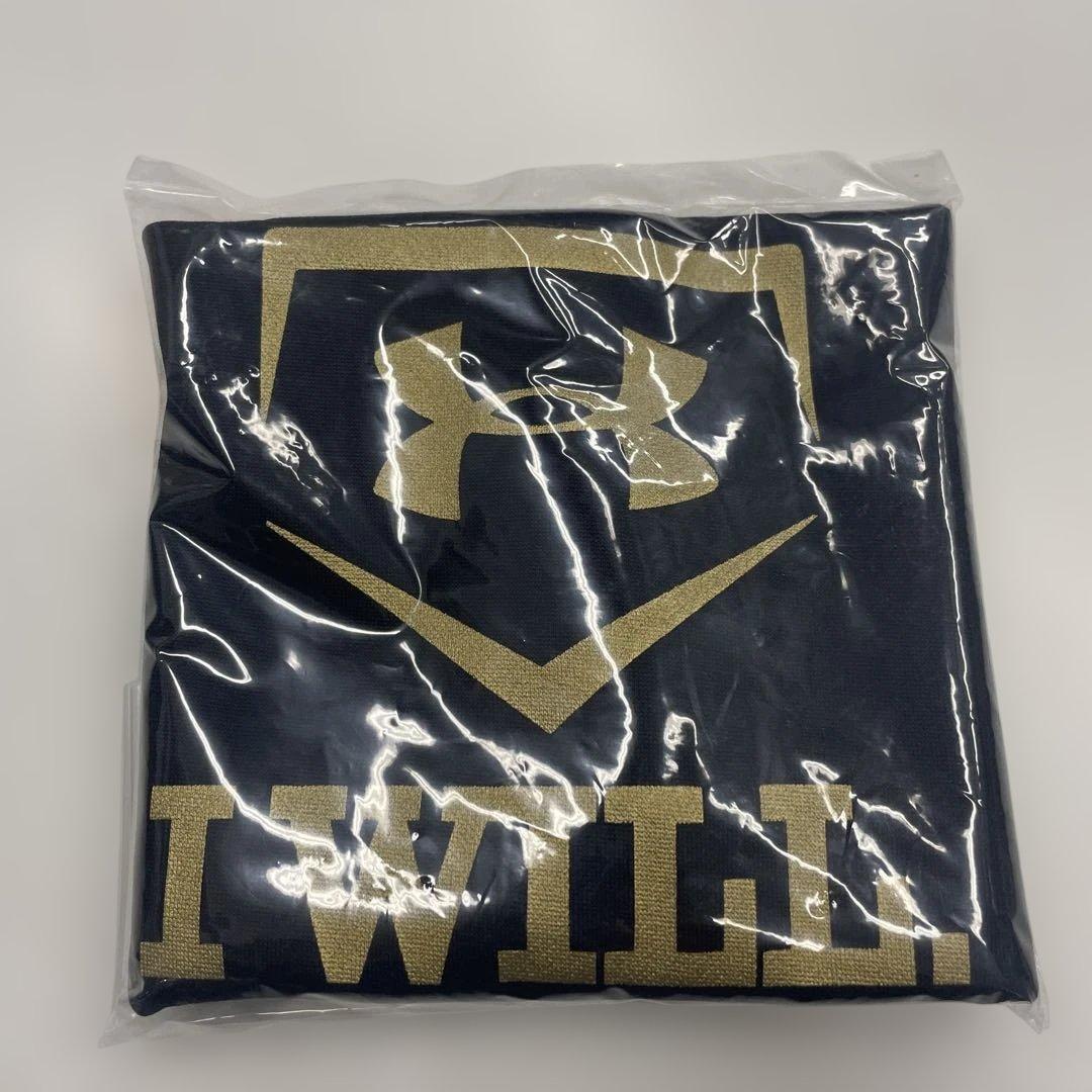 レア Under Armour アンダーアーマー 硬式野球グローブ 黒