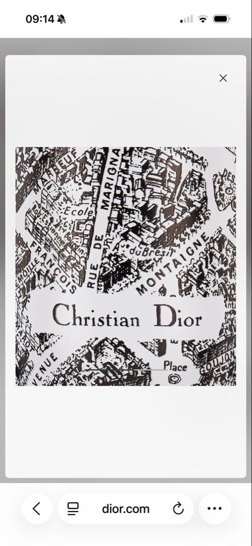 Christian Dior 地図柄 ウォーターボトル プラン ドゥ パリ