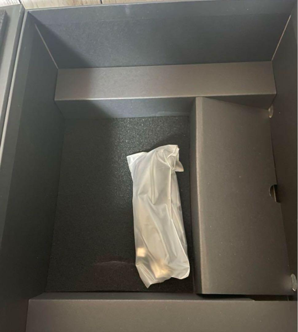 【美品】公式 ルルドプラズマエステブラシ