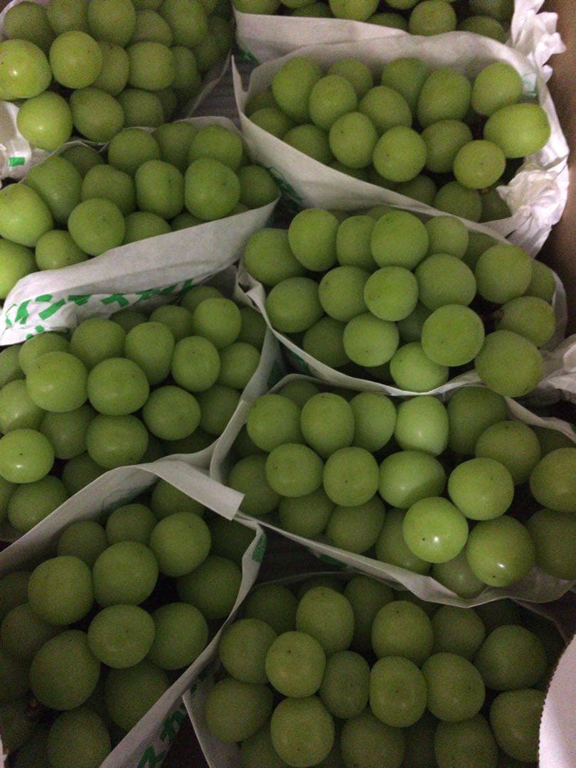 山梨県産　シャインマスカット　9房入