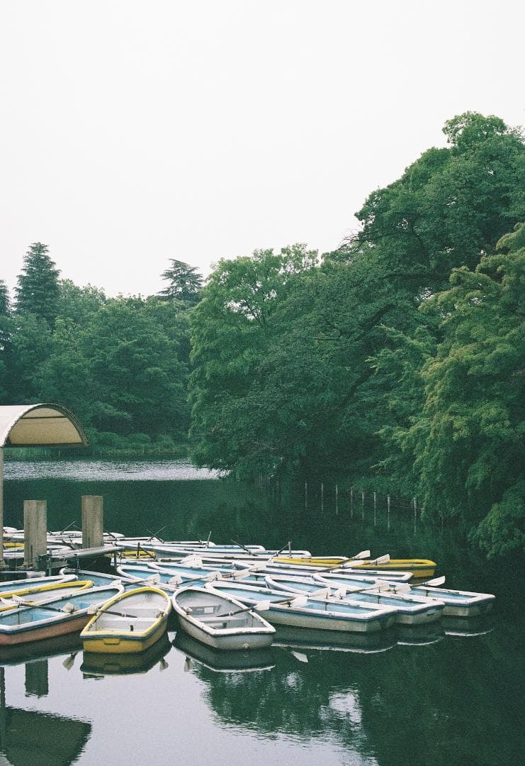 完動品 CONTAX RTS