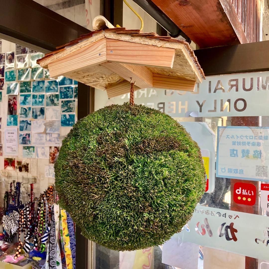 杉玉【屋根付き】③