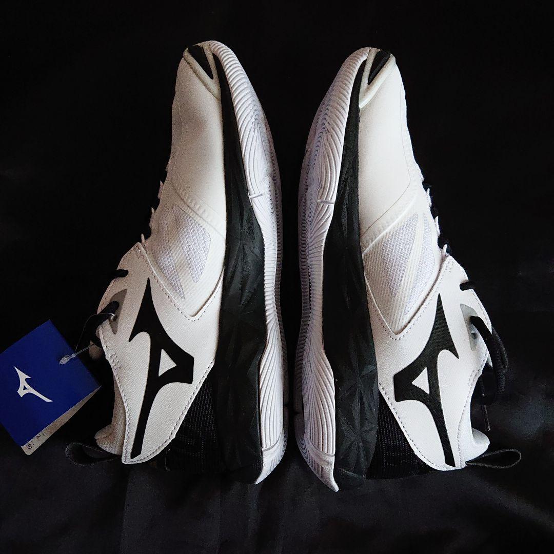 ミズノ バレーボールシューズ 24.5