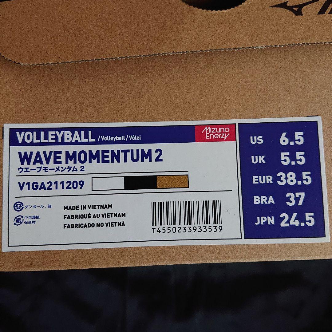 ミズノ バレーボールシューズ 24.5