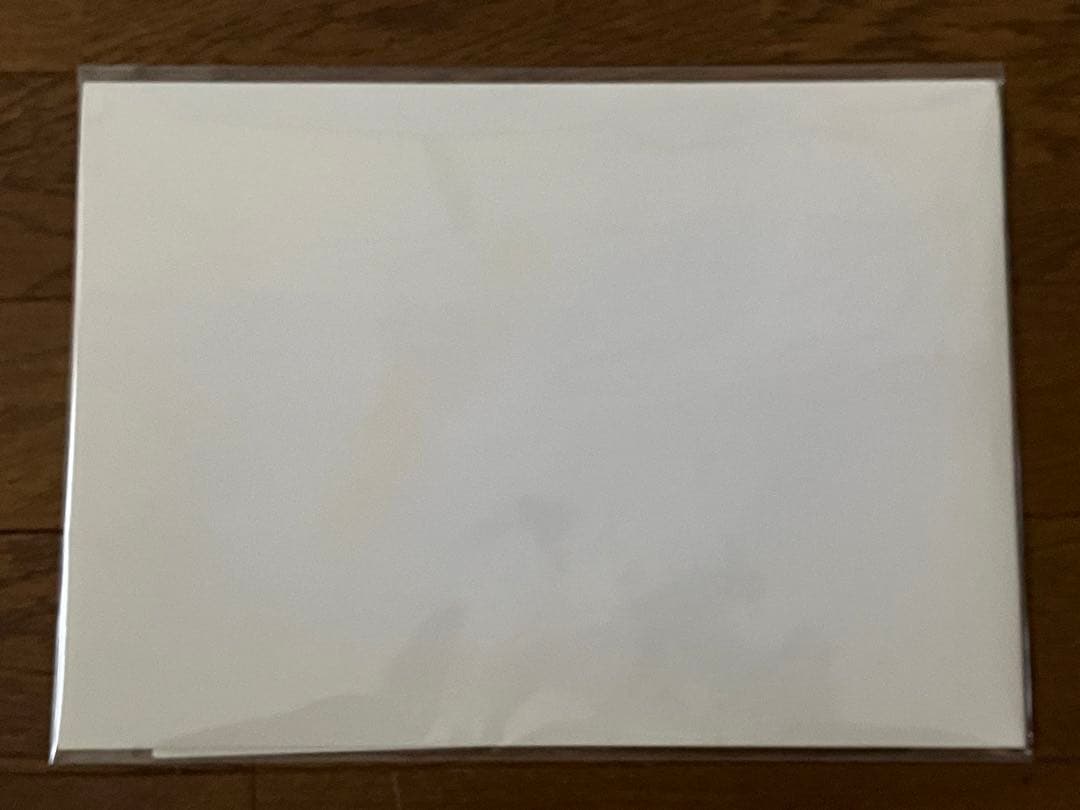 m*e様 アールビバン いのまたむつみ ブレンパワード ムーンライトソナタ 保証