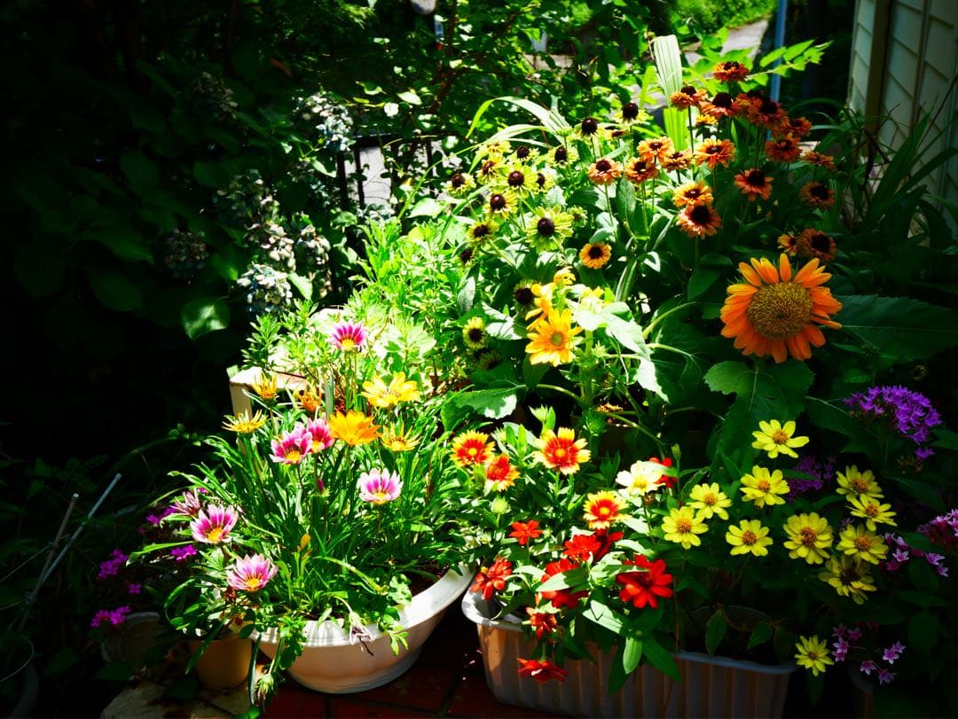 美品LEICA DG VARIO-ELMARIT 8-18mm/F2.8-4.0