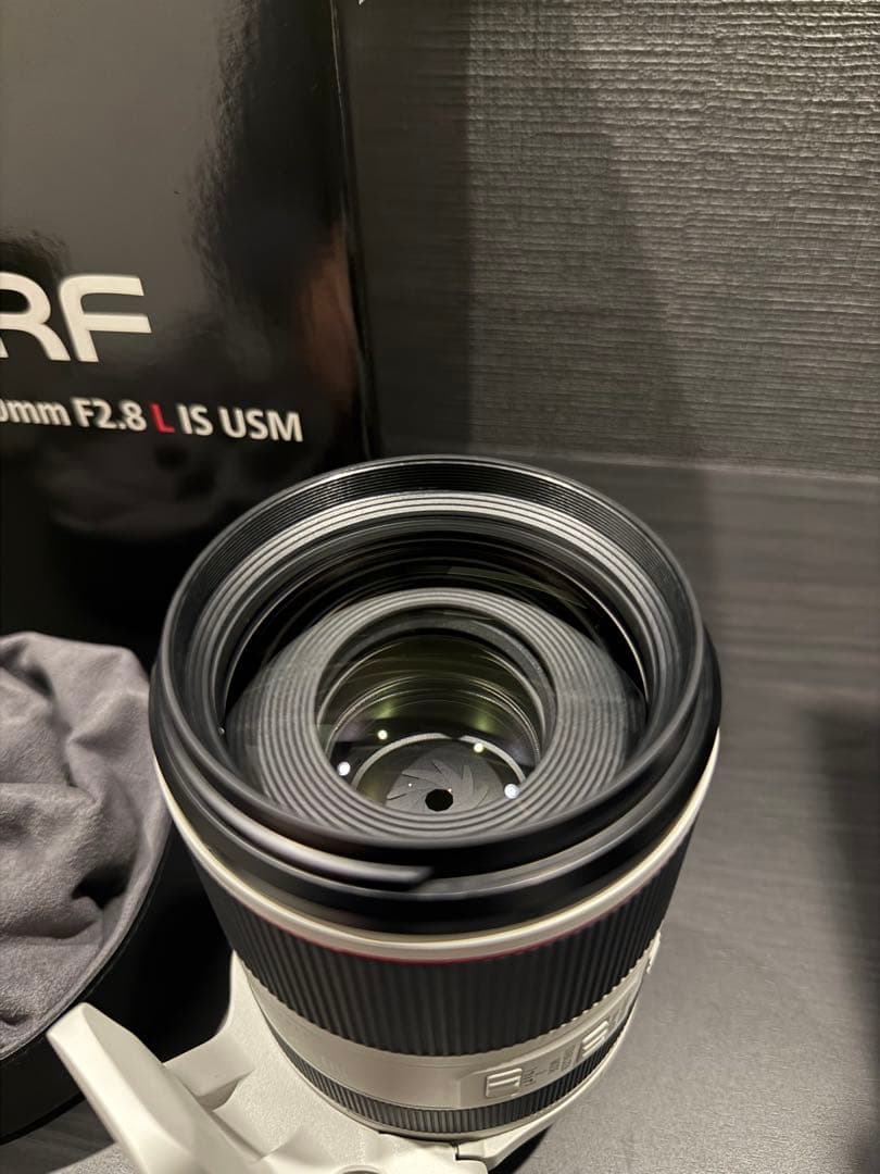 【極美品+各種レンズフィルター】Canon RF 70-200mm F2.8 L