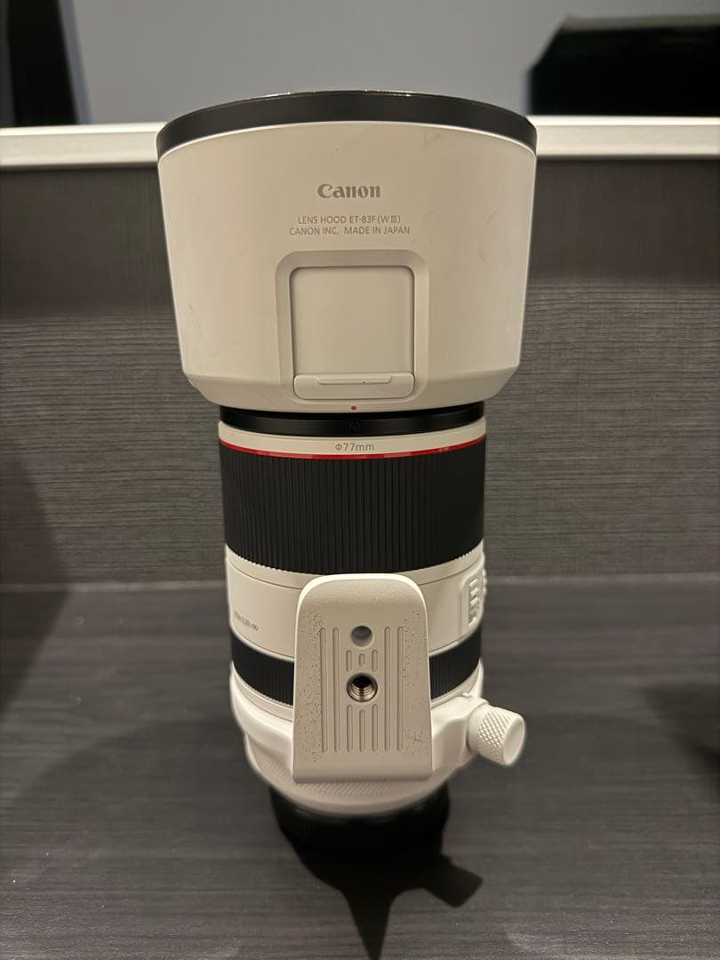【極美品+各種レンズフィルター】Canon RF 70-200mm F2.8 L