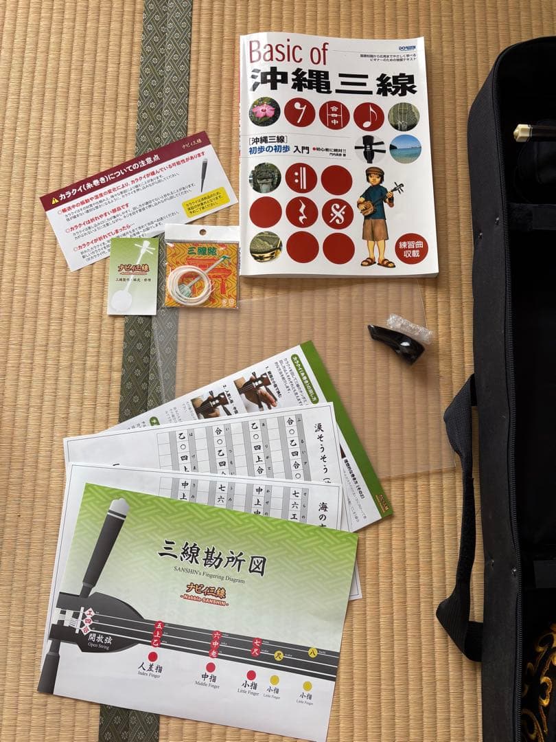 沖縄三線 初心者 入門者 専用ケース付