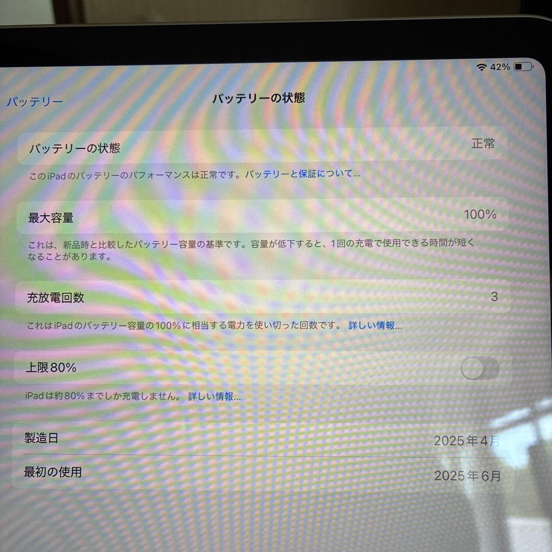 iPad本体 Apple iPad (A16) 256GB Wi-Fi