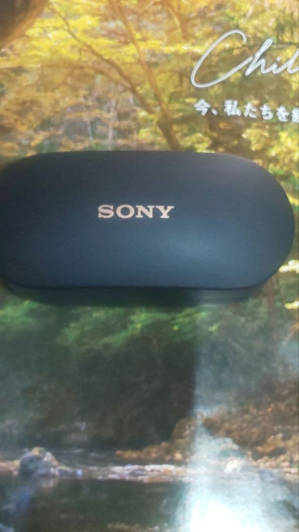 1ヶ月保証付　ケース イヤホン両方バッテリー新品交換　wf-1000xm4おまけ