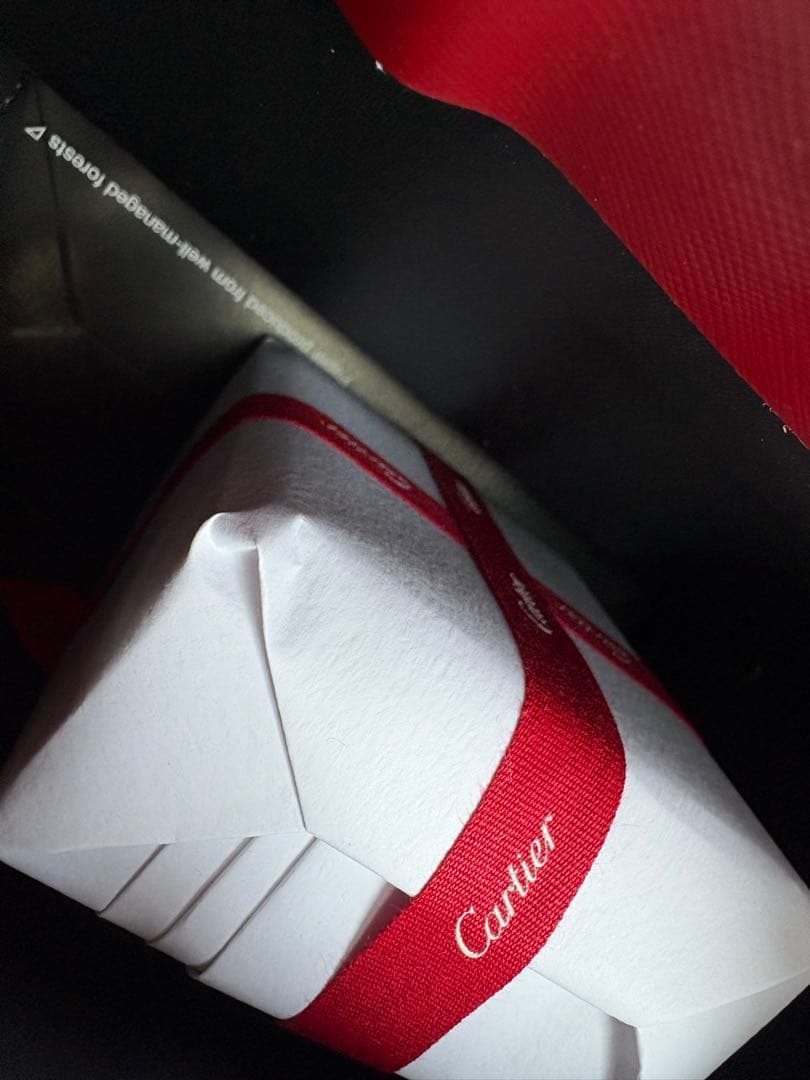 サントス ドゥ カルティエ タイクリップ