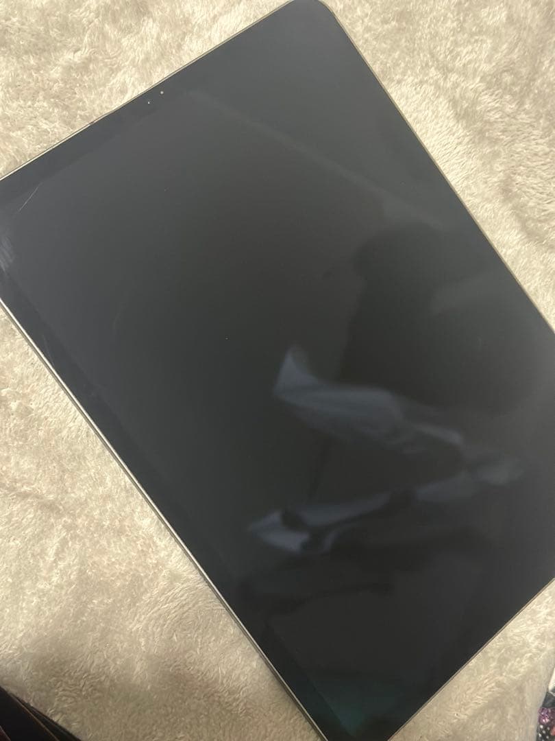 Apple iPad Pro (11インチ) 第2世代 512GB