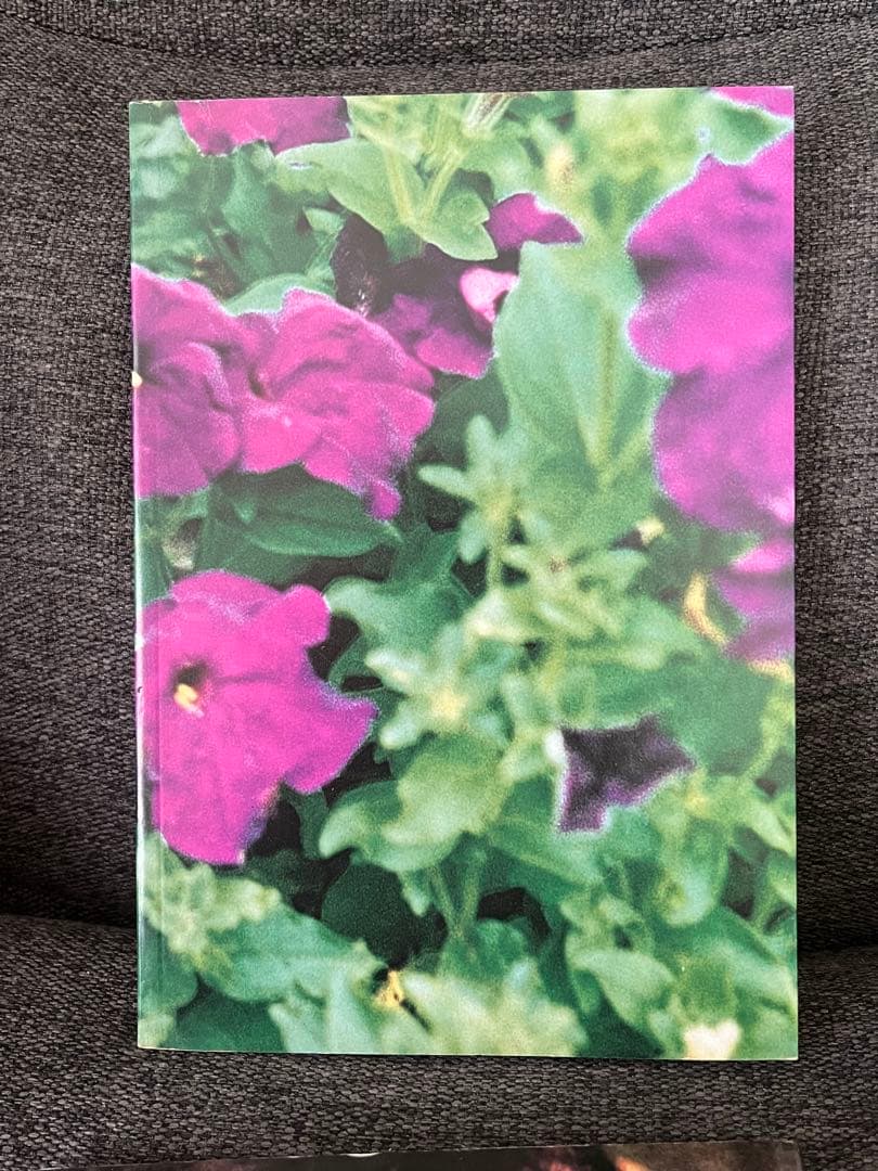 初版　HIROMIX girls blue 写真集