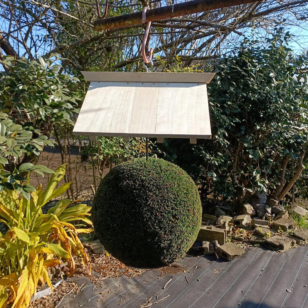 杉玉　屋根付き　直径37ｃｍ