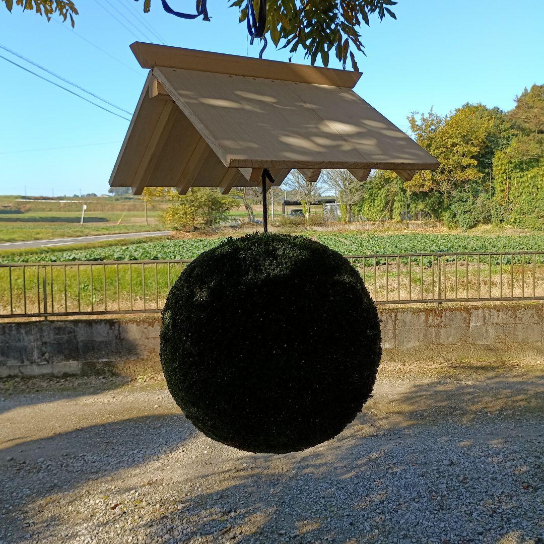 杉玉　屋根付き　直径37ｃｍ