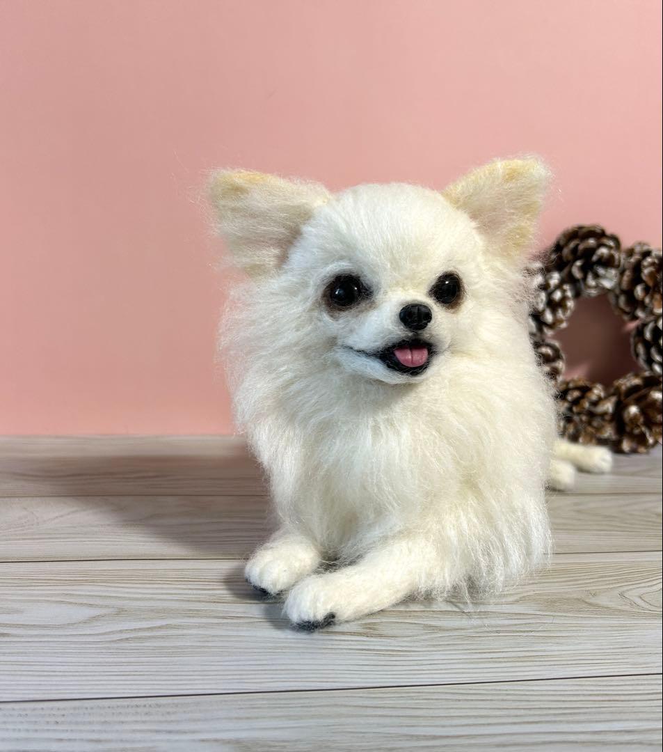 羊毛フェルト　伏せをする大きいチワワちゃん
