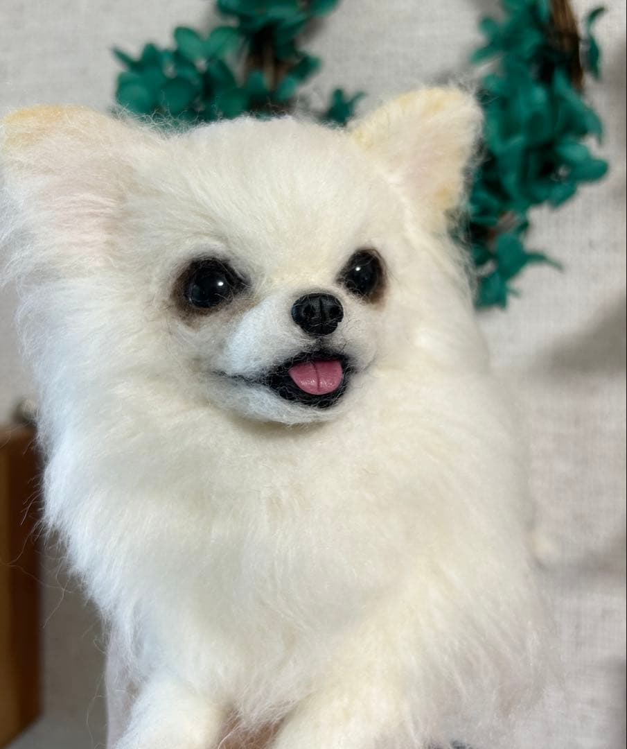 羊毛フェルト　伏せをする大きいチワワちゃん