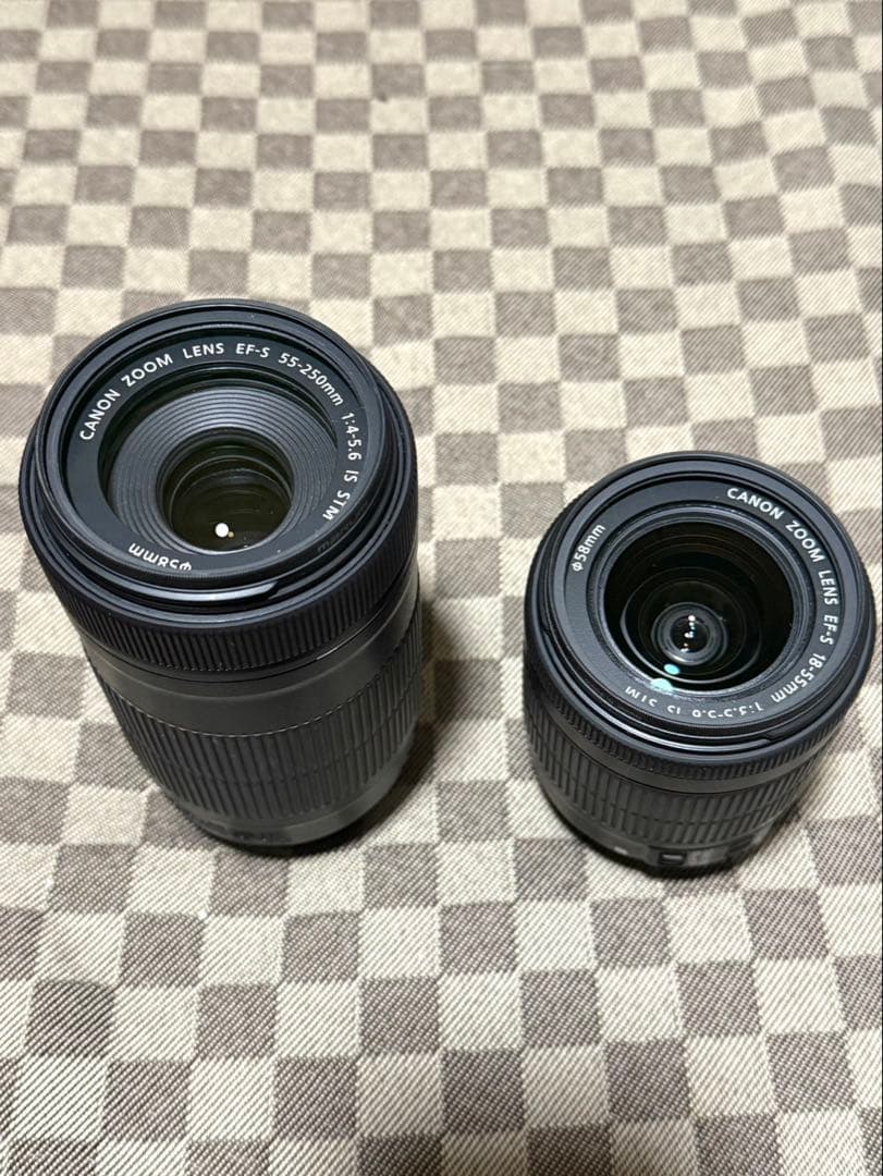 美品 Canon EOS 8000D デジタル一眼レフカメラ(SC数4340回)