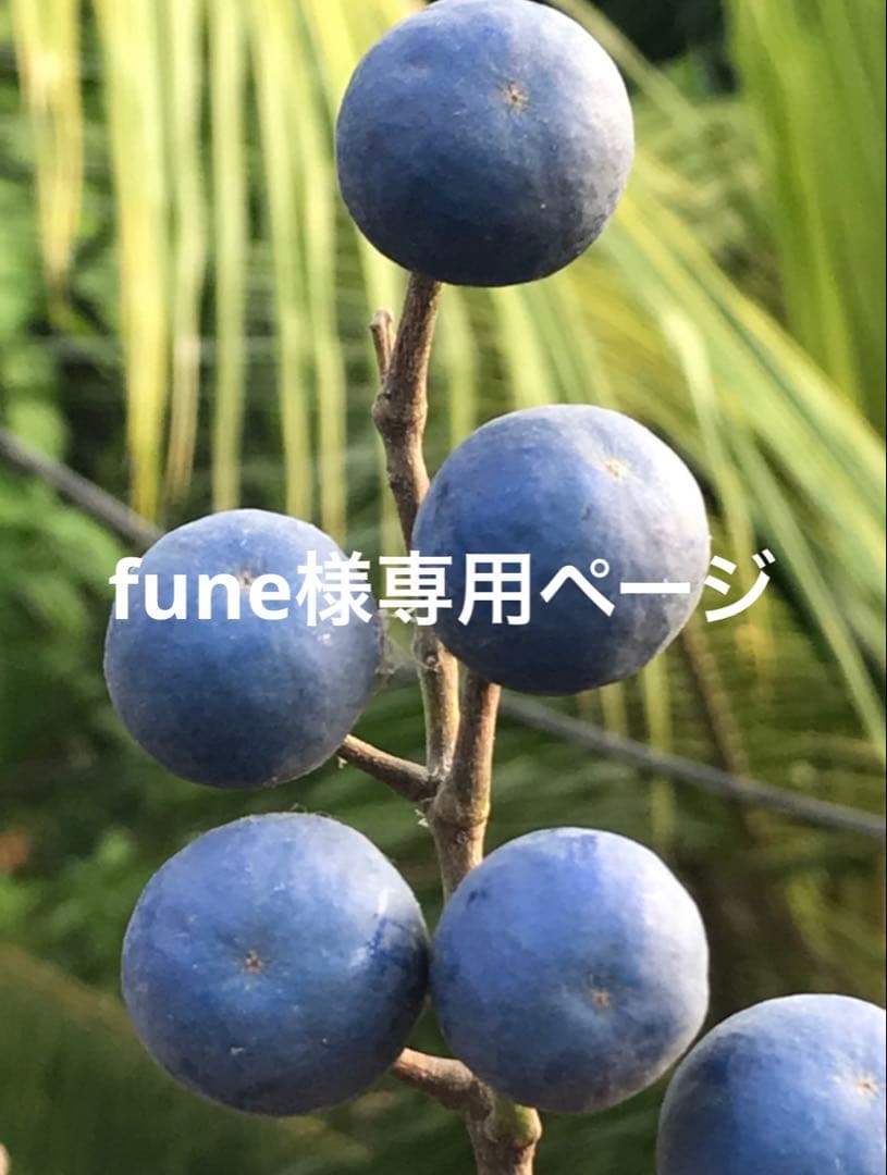 バリ島　木彫り額付きストーンレリーフ