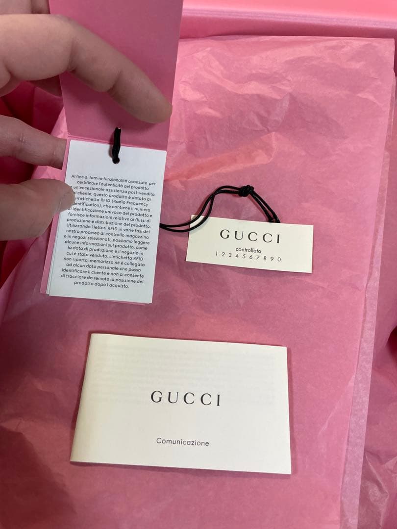 GUCCI x THE NORTH FACE グッチ x ノースフェイス コラボ