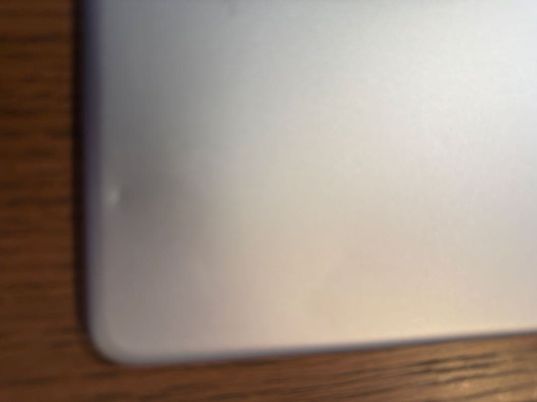 Apple iPad Air2 シルバー 本体