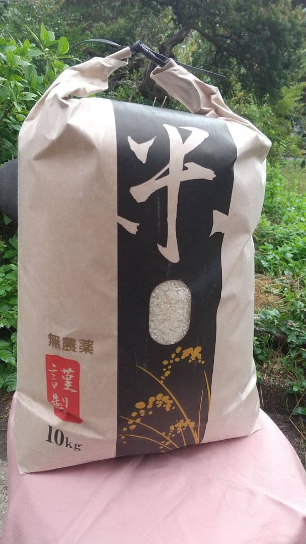 Mi◎⭐️精米9.5kg