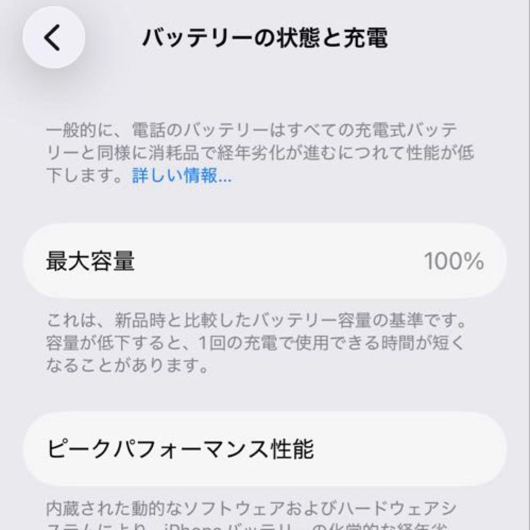 Apple iPhone 13 miniブルー 128GB SIMフリー