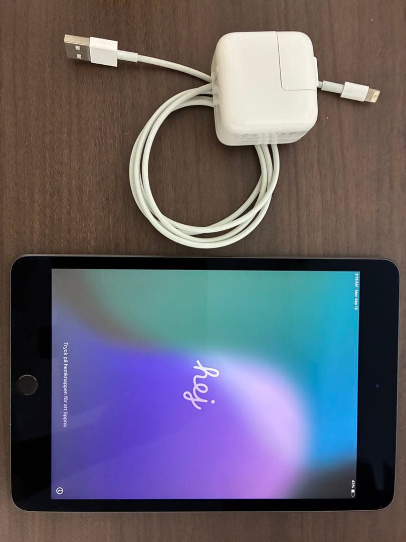 Apple iPad mini 第5世代 本体 最大容量90% 出品明日の朝まで