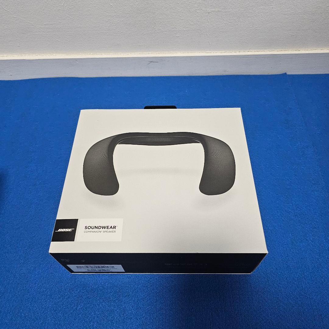 【美品】SoundWear Companion speaker